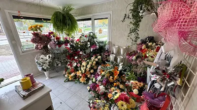 Jaga. Kwiaciarnia. Paczkowska G.